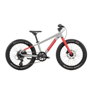 Bicicleta Copii Raymon Yanga 20 Pro 2025 - 20 Inch, Gri - Altus
